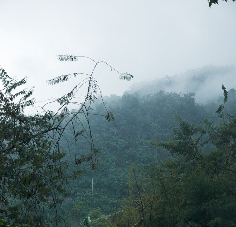 Avoiding Over-Production