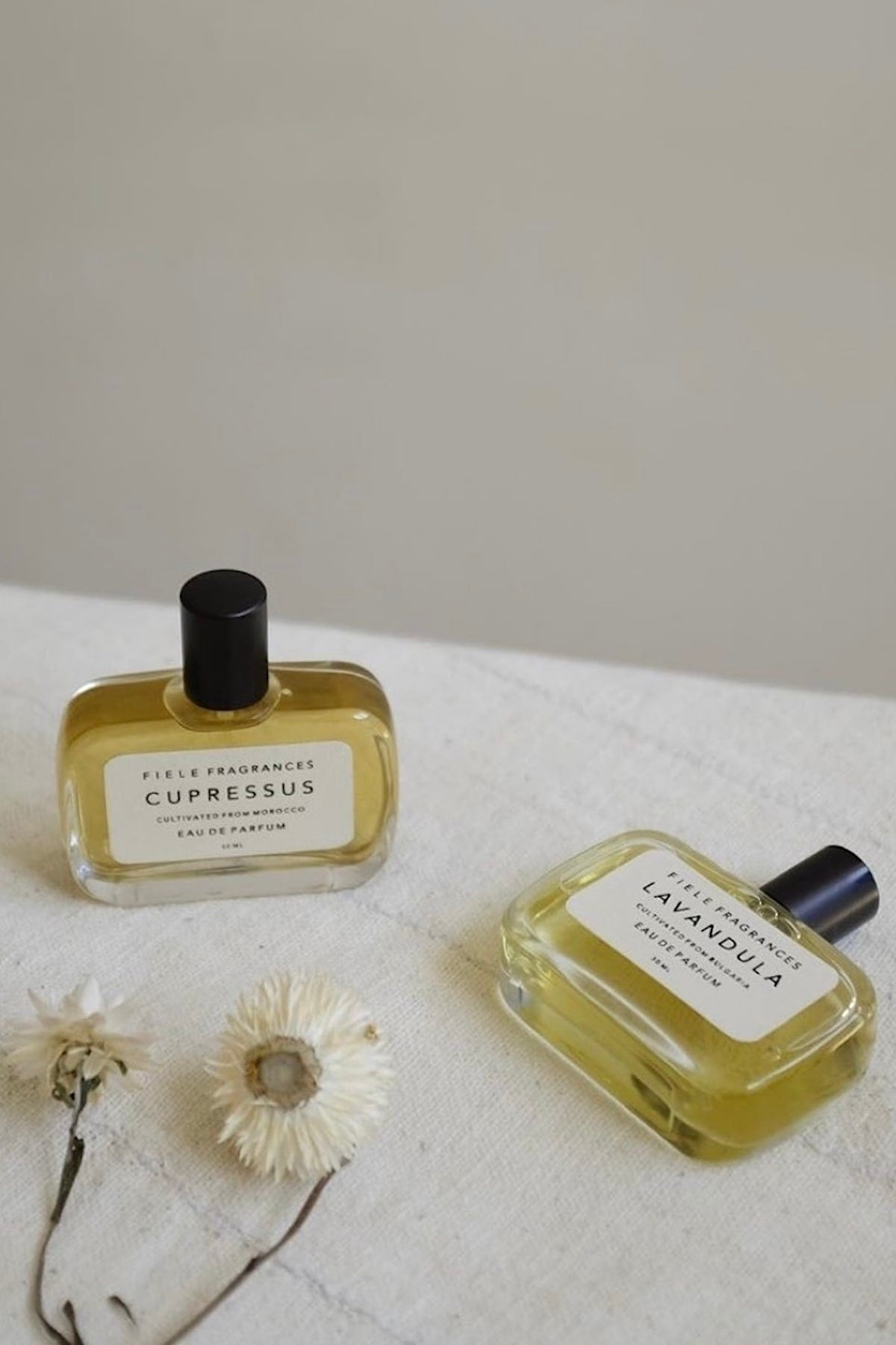 Fiele Fragrances - Perfume I Cupressus Cupressus 50 ML 1 - Rabens Saloner