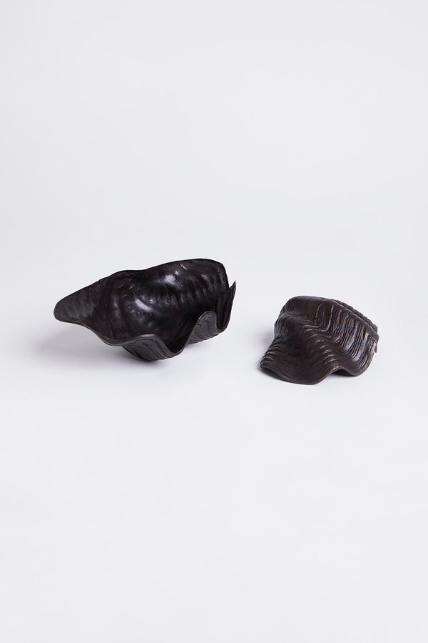 VENCE - Decorative shell small    2 - Rabens Saloner