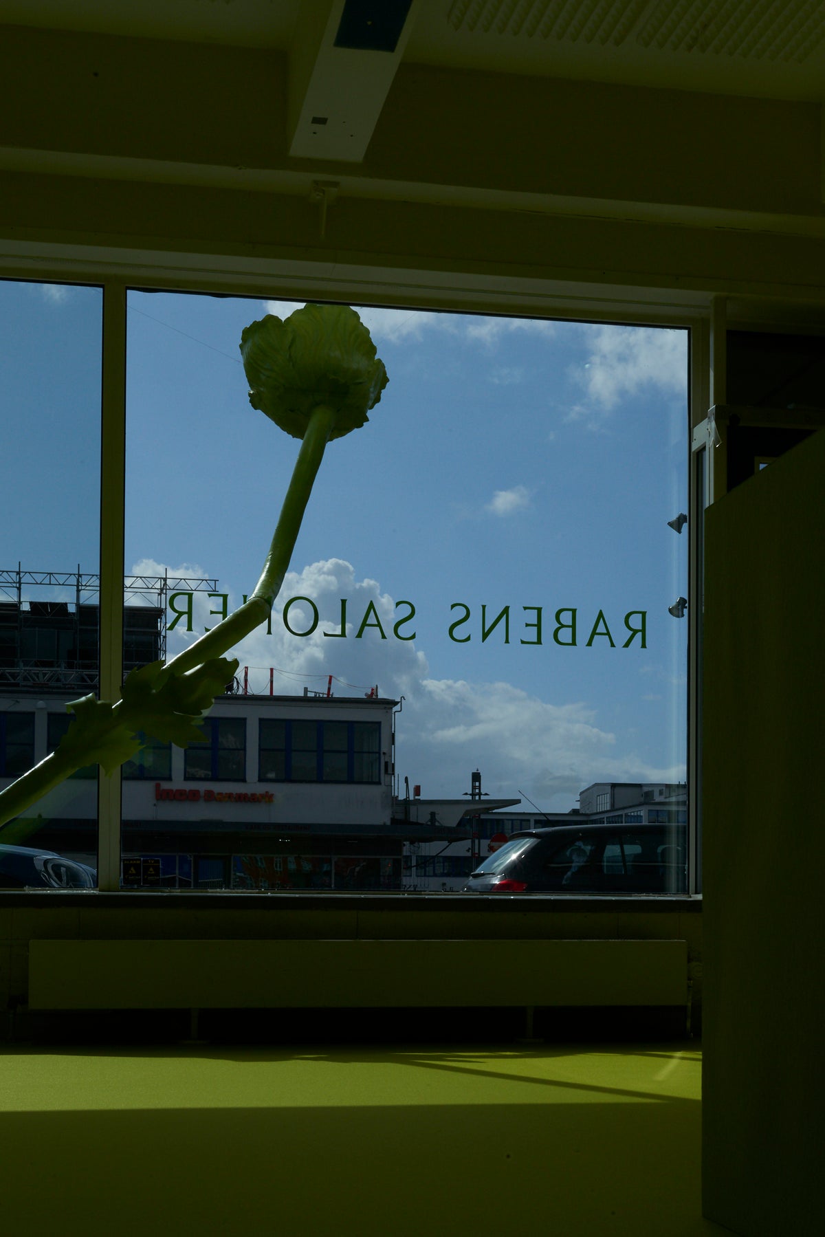 Collage image 3