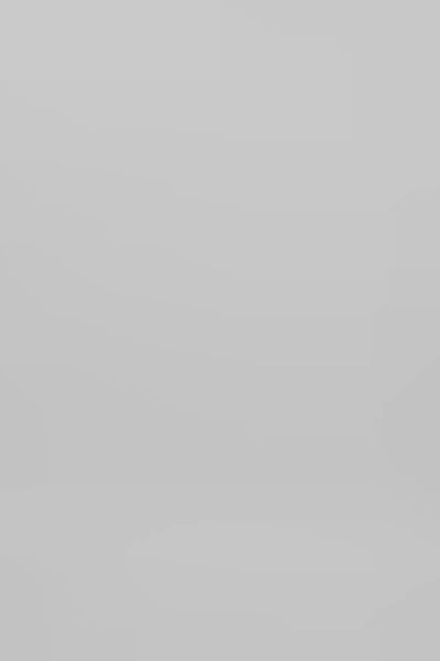 Brigida - Poplin full skirt I Clay 7 - Rabens Saloner