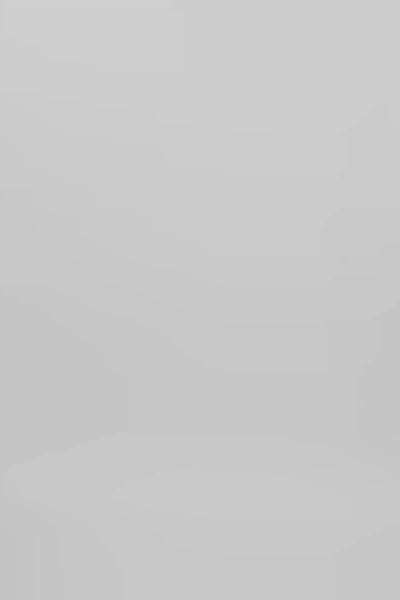 Lilou - Sheer lace panelled dress I Blush 10 - Rabens Saloner